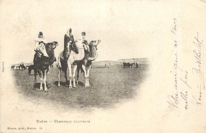 196 CARTES POSTALES AFRIQUE DU NORD : Algérie,...