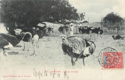 111 CARTES POSTALES ETRANGERS : Divers Pays....