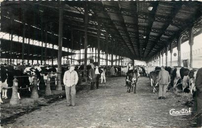 155 CARTES POSTALES PARIS : 19ème Arrdt....