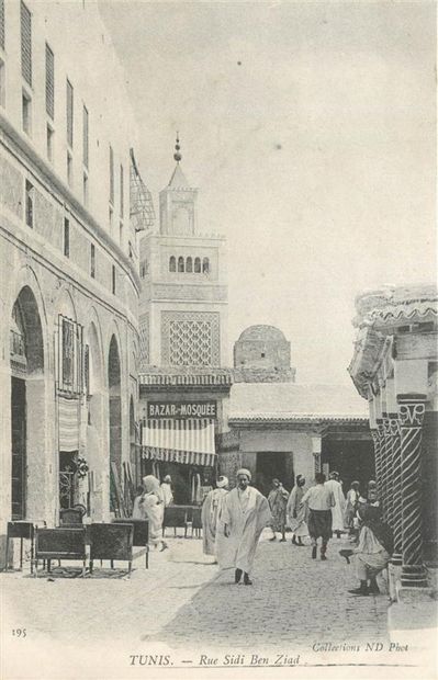239 CARTES POSTALES AFRIQUE DU NORD : Algérie-31cp,...