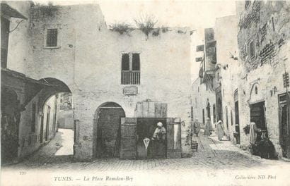 239 CARTES POSTALES AFRIQUE DU NORD : Algérie-31cp,...