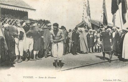 239 CARTES POSTALES AFRIQUE DU NORD : Algérie-31cp,...