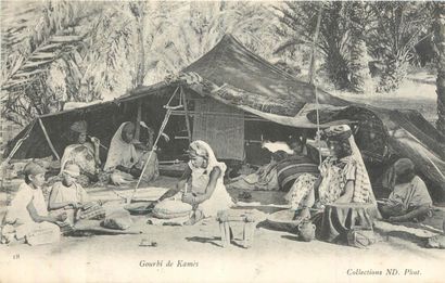 239 CARTES POSTALES AFRIQUE DU NORD : Algérie-31cp,...