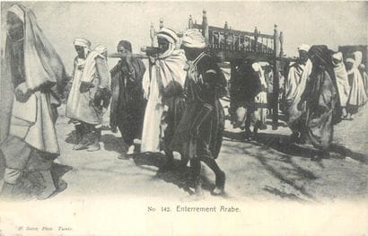 239 CARTES POSTALES AFRIQUE DU NORD : Algérie-31cp,...