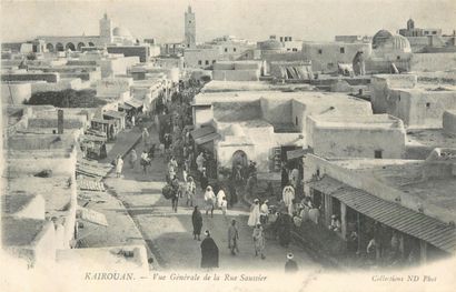 239 CARTES POSTALES AFRIQUE DU NORD : Algérie-31cp,...