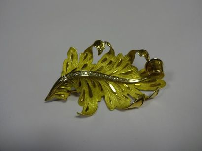 BROCHE feuille en or ornée d'une nervure...