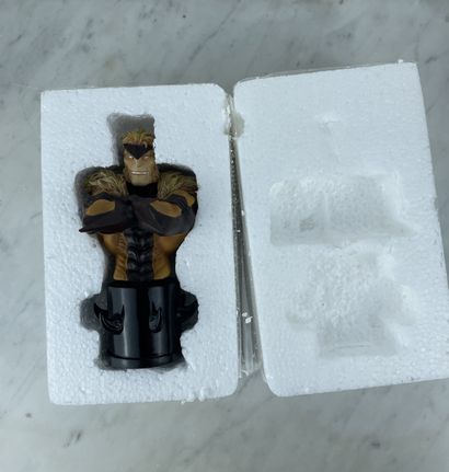 Sabretooth - Marvel Mini-Bust by Randy Bowen...
