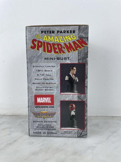 Peter Parker, The Amazing Spider-Man - Marvel...