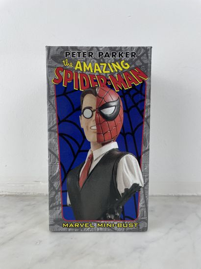 Peter Parker, The Amazing Spider-Man - Marvel...