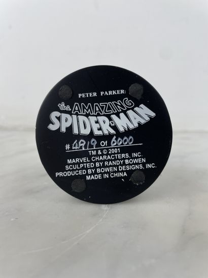 Peter Parker, The Amazing Spider-Man - Marvel...