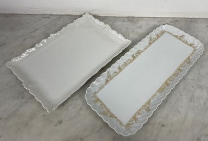 Two rectangular porcelain dishes Haviland...