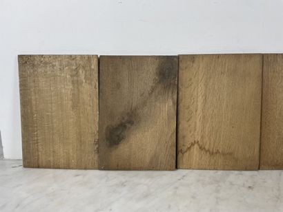Europe, milieu XXe - Ensemble de six plaques...