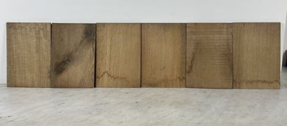 Europe, milieu XXe - Ensemble de six plaques...