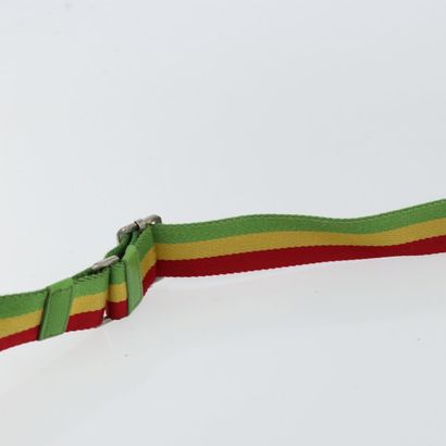 Dior Vintage Rasta Crossbody Bag
Diorissimo...