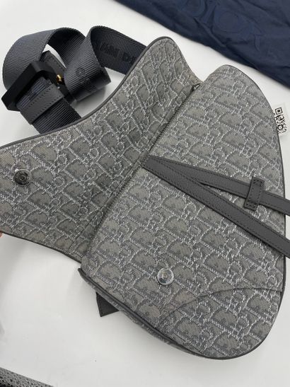 Dior Saddle Crossbody Bag
Oblique canvas...