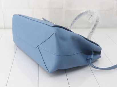 Louis Vuitton Neverfull Pochette blue leather...