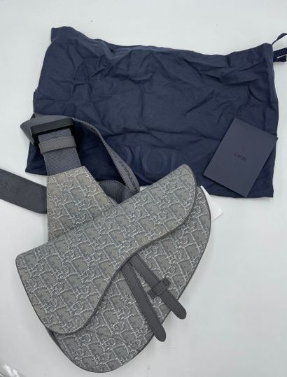 Dior Saddle Crossbody Bag
Oblique canvas...