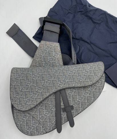 Dior Saddle Crossbody Bag
Oblique canvas...
