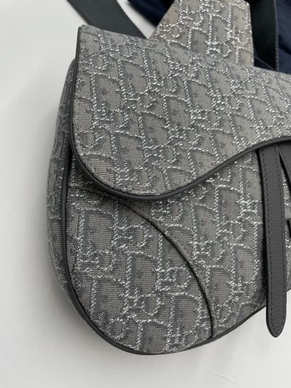 Dior Saddle Crossbody Bag
Oblique canvas...