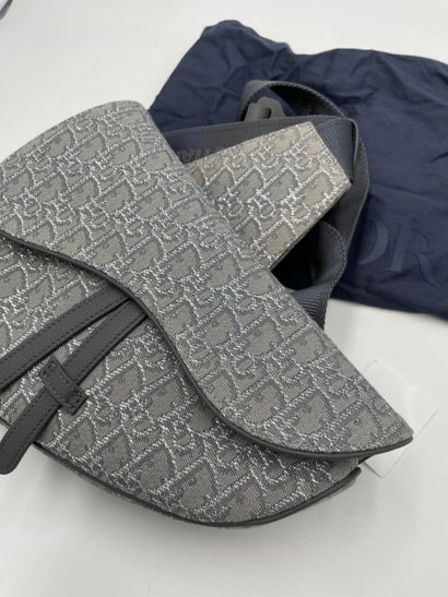 Dior Saddle Crossbody Bag
Oblique canvas...