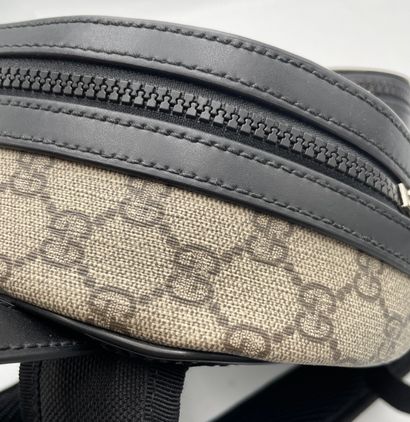 Gucci Front Pocket Backpack
GG coated canvas...