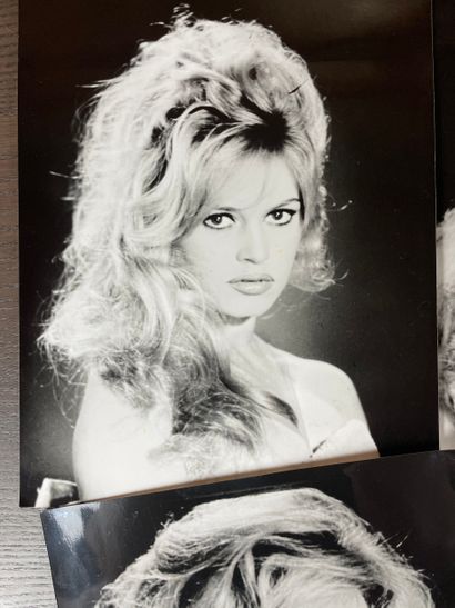 Suite of black and white photographs Icon...