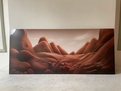 Carl Warner Shin Knee Valley
Color photograph...