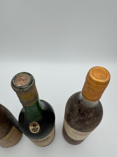 Lot de vins divers
Muscat de Saint-Jean-de-Minervois...