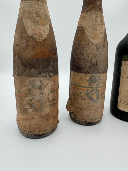Lot de vins divers
Muscat de Saint-Jean-de-Minervois...