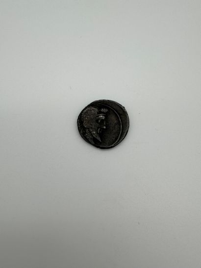 Roman Republic - Silver Denarius, Quintus...