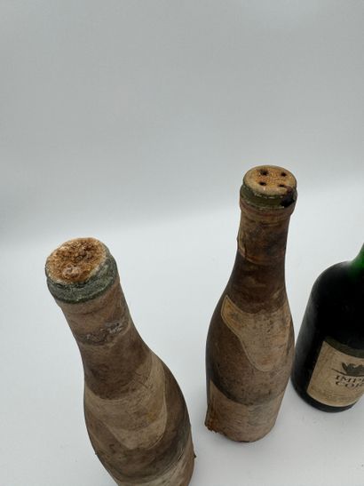 Lot de vins divers
Muscat de Saint-Jean-de-Minervois...