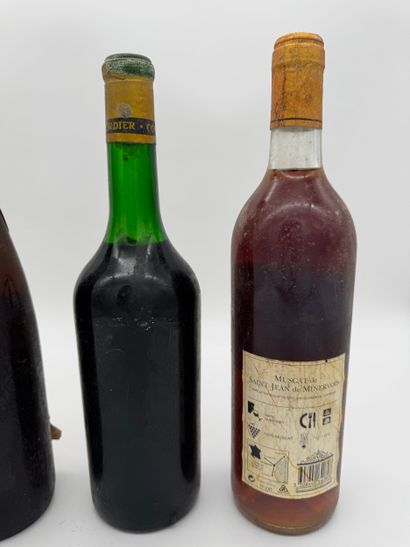 Lot de vins divers
Muscat de Saint-Jean-de-Minervois...