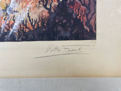 Walter Frank - Evening Flames, Katunga -...