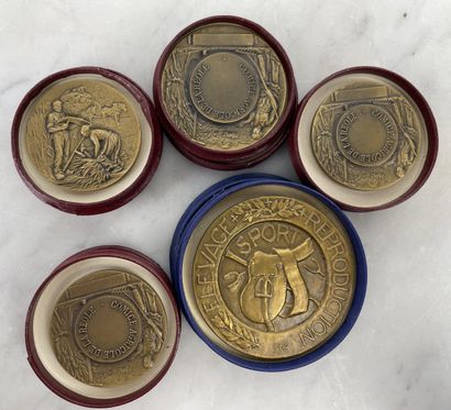 Lot de 5 médailles Elévation Spora Production...