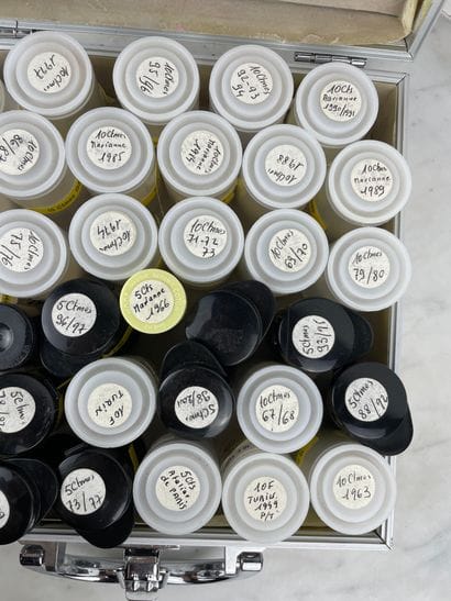 Crate of numismatic capsules French francs...