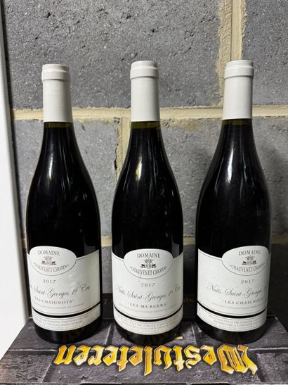 Domaine Chauvenet-Chopin - Nuits-Saint-Georges...