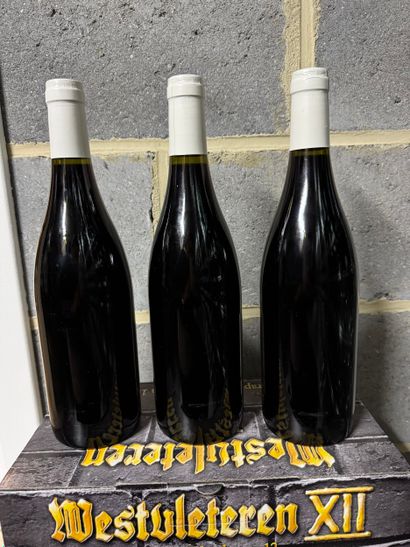 Domaine Chauvenet-Chopin - Nuits-Saint-Georges...