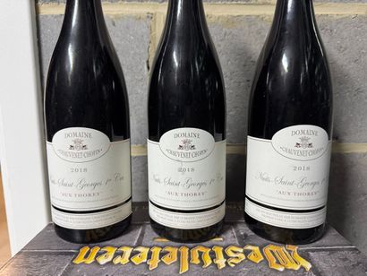 Domaine Chauvenet-Chopin - Nuits-Saint-Georges...