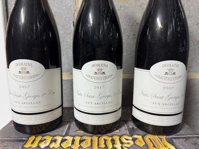 Domaine Chauvenet-Chopin - Nuits-Saint-Georges...
