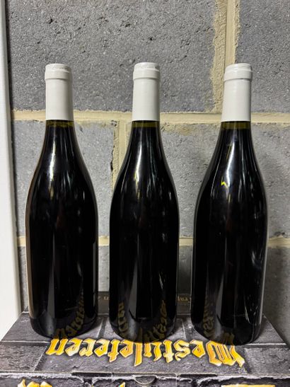 Domaine Chauvenet-Chopin - Nuits-Saint-Georges...