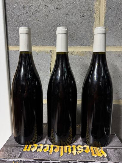 Domaine Chauvenet-Chopin - Nuits-Saint-Georges...