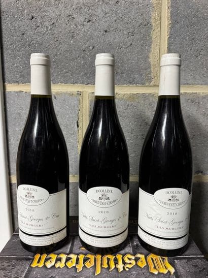 Domaine Chauvenet-Chopin - Nuits-Saint-Georges...