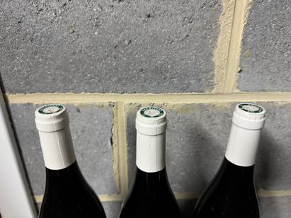Domaine Chauvenet-Chopin - Nuits-Saint-Georges...
