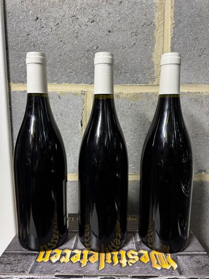 Domaine Chauvenet-Chopin - Nuits-Saint-Georges...