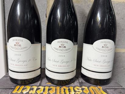 Domaine Chauvenet-Chopin - Nuits-Saint-Georges...