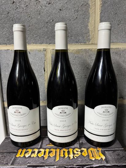 Domaine Chauvenet-Chopin - Nuits-Saint-Georges...