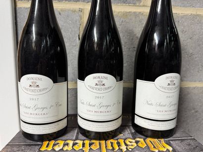 Domaine Chauvenet-Chopin - Nuits-Saint-Georges...