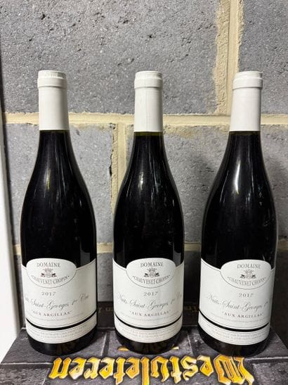 Domaine Chauvenet-Chopin - Nuits-Saint-Georges...