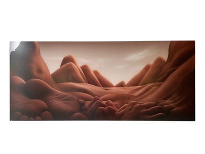 Carl Warner Shin Knee Valley
Photographie...