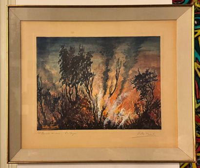 Walter Frank - Flammes du soir, Katunga -...